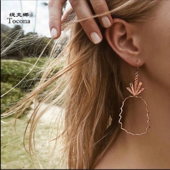 Jewelry - 😍 3/$20 NWOT! Beautiful Pineapple Earrings!